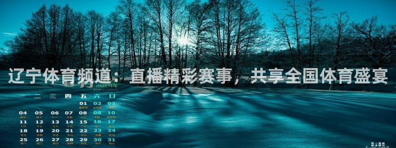 辽宁体育频道：直播精彩赛事，共享全国体育盛宴