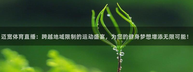 迈宽体育直播：跨越地域限制的运动盛宴，为您的健身梦想增添无限可能！