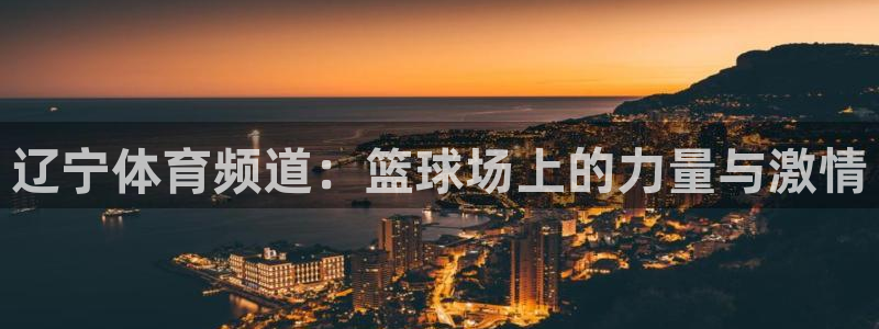 辽宁体育频道：篮球场上的力量与激情