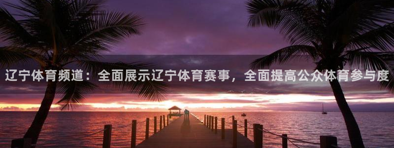 辽宁体育频道：全面展示辽宁体育赛事，全面提高公众体育参与度
