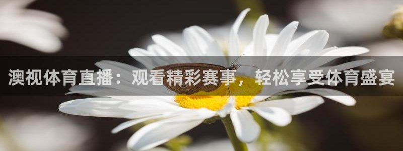 澳视体育直播：观看精彩赛事，轻松享受体育盛宴