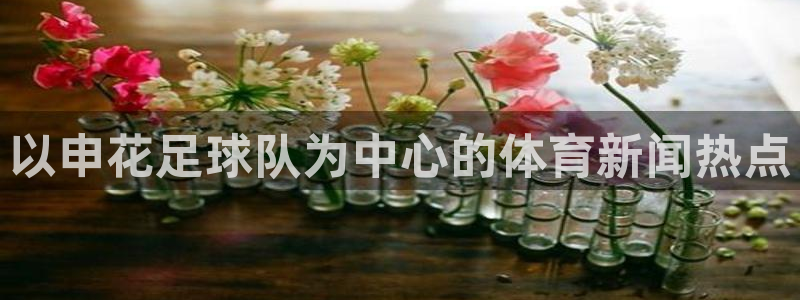 以申花足球队为中心的体育新闻热点